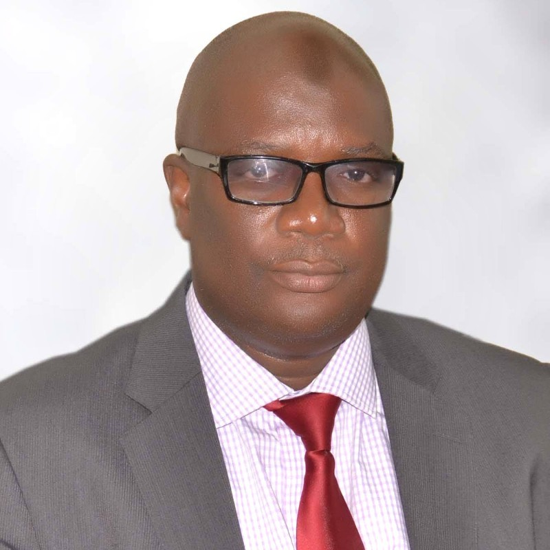 Adeyinka A. Suleman
